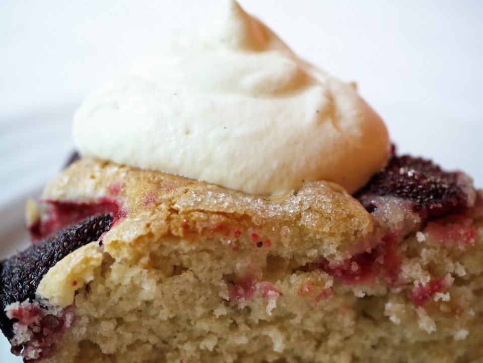 piece of strawberry cake